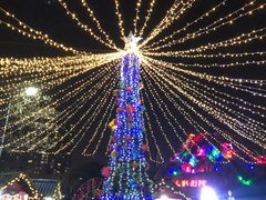 -锦江乐园舞狸花花游园会(夜场专享)