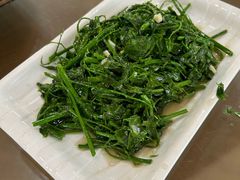 -兴隆槟榔园休闲农庄