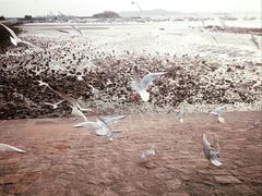 -老味道民宿(栈桥店)