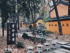 -灵谷景区
