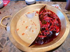 -小龙坎火锅(春熙太古里店)
