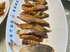 -陈鹏鹏潮汕菜(欢乐海岸 海边景观店)