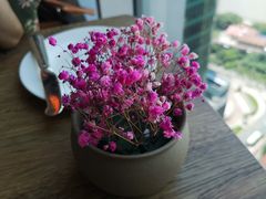 -翡翠36餐厅(浦东香格里拉店)