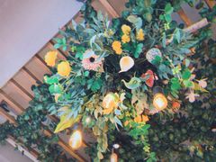 -IFIF 如果花園(宽厚里店)