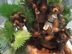 -济州岛泰迪熊博物馆