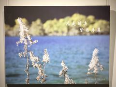 -大芬美术馆