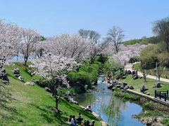 -羊山湖公园