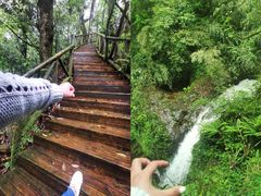 -龙苍沟森林公园