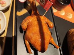 -羽鸽集·乳鸽专门店·地道顺德菜(岭南站店)