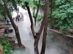 -北京西山国家森林公园