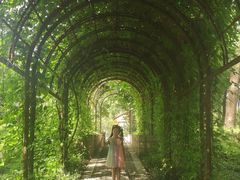 -国家植物园南园