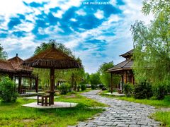 -呼兰河口湿地公园
