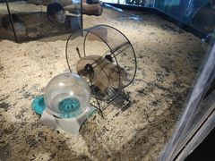 -昆明大悦城未来动物城(螺蛳湾中心店)