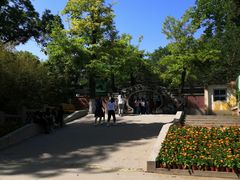 -保定市动物园