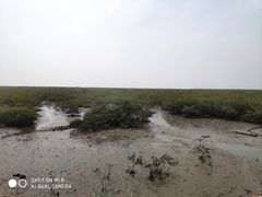 -北海金海湾红树林生态旅游区