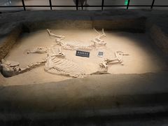 -洛阳周王城天子驾六博物馆