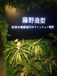 -藤野造型