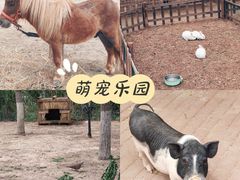 -天津市动物园