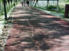 -滨湖塘西河公园