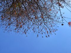 -华南国家植物园-售票处