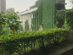 -西南政法大学(渝北校区)