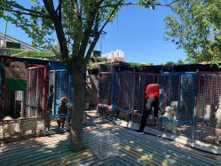 -萌宠亲子动物乐园(槐房万达店)