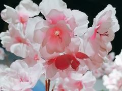 -学习谷日语培训日本留学·多语种外语教学(海淀人大分部)