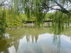-瀛洲公园