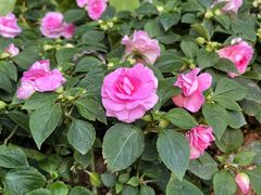 -人民公园(罗湖区)