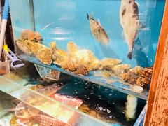 -桂马·日本料理·海胆·海鲜饭·酒场(民主广场店)
