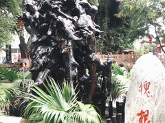 -大槐树寻根祭祖园