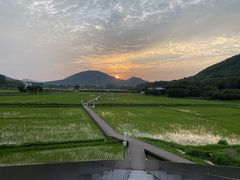 -艾米稻香小镇