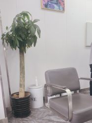 -蚂蚁造型俱乐部
