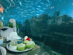 -海棠湾洲际-涛·海底餐厅·美人鱼·自助餐·海底隧道