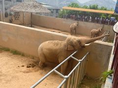 -西霞口神雕山野生动物世界