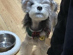 -FAELING PETS美天灵宠物(合生汇店)