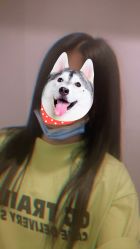 -美奇丝私人定制