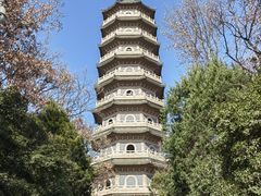 -灵谷景区