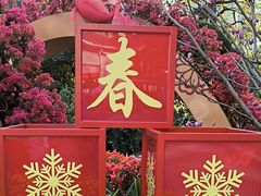 -晓港公园