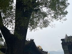 -红螺寺