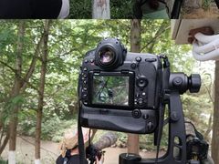 -桤木河湿地公园