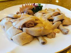 -金迎海鲜酒家(金凤凰广场店)