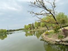 -九科绿洲