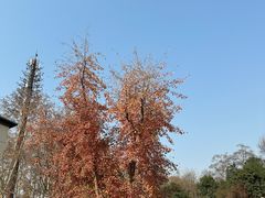 -河南省黄河迎宾馆