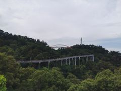 -金鸡山公园