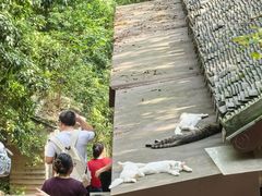 -狼山风景名胜区