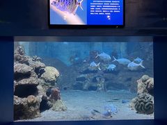 -厦门海底世界