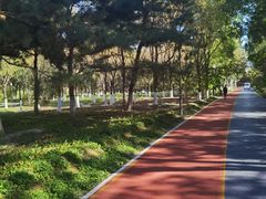 -大兴滨河森林公园