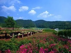 -石家庄市植物园