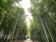 -天目湖御水温泉·度假酒店